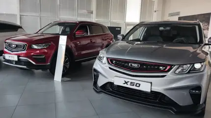 Почему кроссовер Belgee X50 пользуется хорошим спросом - ответы владельцев