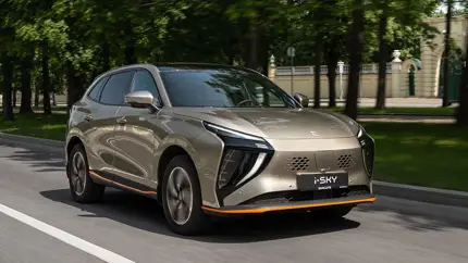 Как продавались модели Evolute, Voyah и Dongfeng в 2023 году