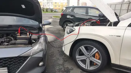 Ошибаются даже опытные водители: как правильно прикурить автомобиль, чтобы избежать повреждения электроники