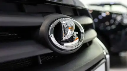 Вторичный авторынок раскрывает карты: названы фавориты кредитования