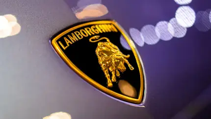 Lamborghini и Orlebar Brown выпустили коллекцию пляжной одежды – цены впечатляют