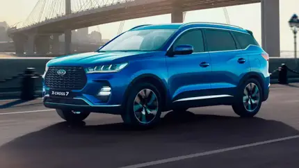 Август 2024 года стал удачным месяцем для бренда XCITE в России