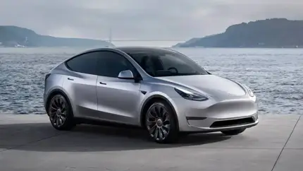 Tesla идет на снижение: почему в РФ второй год подряд падают продажи электрокаров бренда