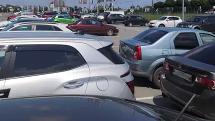 В РФ упали продажи автотехники во всех сегментах рынка