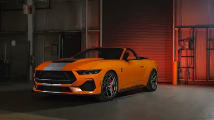 Крышесносная лошадь для Вашего гаража: даже Mustang Dark Horse SC на его фоне пони