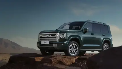 Бренд Haval не предлагает эти модели в РФ в исполнении 2025 года выпуска
