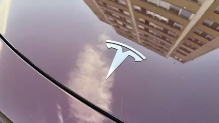 Tesla удвоила импортные возможности после скачка спроса в Японии