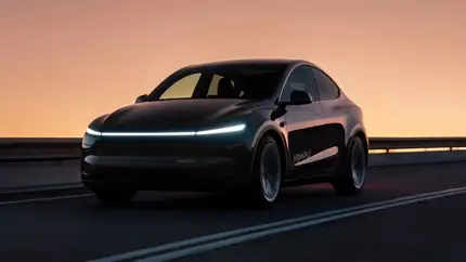 Брайль, место для собаки и низкая посадка: Tesla показала доступный Cybercab