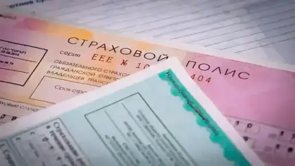 Чем отличается ОСАГО от каско: более трети россиян не разбираются в этом