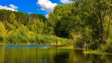 Штраф до 4500 рублей: где всё-таки можно парковаться у воды
