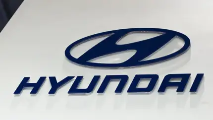 Владельцев машин Hyundai в 2024 году ждёт неприятный сюрприз