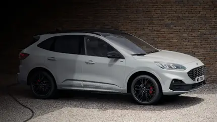Водитель доверяет экрану, а предупреждение не приходит: Ford отзывает машины