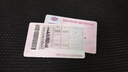 Кому в этом году придется заменить водительские права: в ГАИ всё рассказали