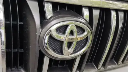 Toyota RAV4 ХА50: что стоит знать о пятом поколении кроссовера