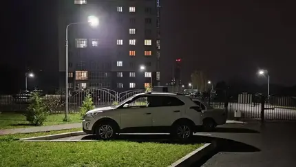 Всё просто: россиянам назвали самую выгодную защиту автомобиля от угона