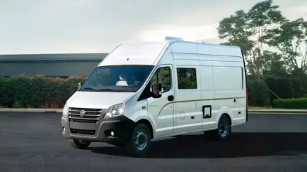 Названы самые популярные подержанные LCV в России