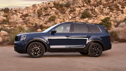 Новым Kia Telluride может потребоваться обновление программного обеспечения дверной ручки
