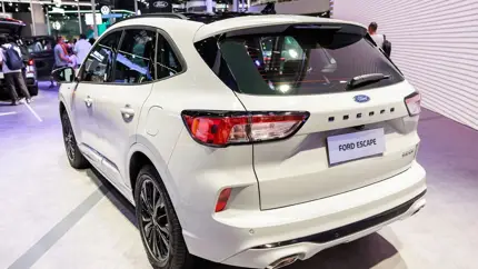 Более 100 литров для льда и вещей: Ford разработал необычный багажный модуль